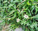 未来予想専科‼3000字保証多角的に占います どうなりたい?恋愛仕事人間関係育児…この先が気になる貴方へ♪ イメージ4