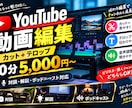 YouTube動画のカット・テロップ編集をします 対談・解説系の長尺動画も丁寧に見やすく仕上げます イメージ1