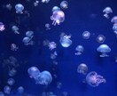 なんでも聞きます 誰かになんでもいいから聞いてもらいたいあなたへ イメージ1