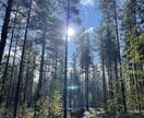 フィンランド観光や穴場の歩き方ご案内します 在住者がの北欧フィンランドを満喫したい方問合せ受付中 イメージ3