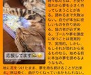 電話で心がほどける！オラクルカード引きます 電話で相談するだけで、迷いがほどける不思議体験 イメージ5
