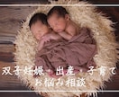 双子妊娠・出産・子育てのお悩み・愚痴を聞きます 実際に双子をワンオペで4歳まで育てたママがお話を伺います！ イメージ1