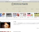 ４０代以上の方のホームページ作ります 40代以上の個人起業家様、個人商店経営者様限定サービス イメージ1