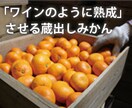 みかん農業の経営、栽培方法等ご相談に乗ります 日本唯一のみかん農家コンサルタントが丁寧にお答えします！ イメージ3