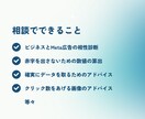 初めてのMeta広告相談｜開始前の不安を解決します 広告費を溶かす前に。利益から逆算した勝てる設計図を作ります イメージ3