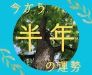 半年間の運勢を鑑定します ☆その期間の運気の流れを観ます。 イメージ1