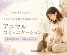 何を考えてるの？ペットの気持ちを通訳します ペットの本音聞いてみませんか？アニマルコミュニケーション イメージ1