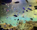 貴方の悩み、恋愛相談のります 貴方に少しでも癒しを与えます。 イメージ1