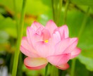 潜在意識をエンパスリーディングセッションします 潜在意識セッションを受けても現実がなかなか変わらない方へ イメージ1