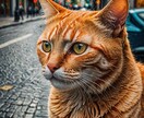 あなたの悩みしょうがないから聞きます 占いは売らない！まあ占うかも？ イメージ7