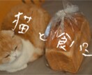 猫を使った商品撮影行います あなたの商品や売り出したいものを猫を使って撮影しませんか イメージ4