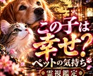 ペットの気持ち｜あの子があなたに伝える真実を視ます 愛するペットの本当の気持ち・家族への想い・今望んでいること イメージ1