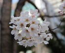 お悩み相談します 人間関係や愚痴などお伺いします。(^｡^) イメージ1