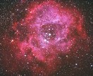 星と花のチカラを借りてあなたを癒やします 希望の光を【西洋占星術／フラワーエッセンス】 イメージ1