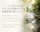 お金の循環を整え金運の上昇を加速します 【リピーター様向け】金運の流れを高め豊かさが巡り続ける状態へ イメージ5