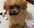 悩みがある、いい事があった時などお話し聞きます どんなことでも構いません！気軽にどうぞ！ イメージ1