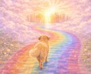 愛犬との時間をやさしく整理します 迷いや不安に寄り添い、これからを一緒に考えます イメージ6