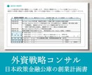 プロが日本政策金融公庫の創業計画書を作ります 戦略コンサルが作成／新規出品のため実績10件まで半額適用中！ イメージ3