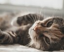 元教師があなたの心のボタン外します どんなお話も愛情たっぷり聞いちゃうです♪ イメージ3