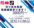 VTuber様歓迎！切り抜き動画、動画編集承ります 修正回数無制限！あなたの要望にできる限り応えます！ イメージ1