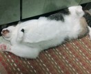 プロのキャリアコンサルタントが将来の悩みを聞きます このままでいいのかな。少しでも将来に不安を感じてるあなた！ イメージ1