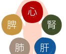 あなたの身体を東洋医学的に診ます 柔道整復師鍼灸師が診る東洋医学的に解決致します。 イメージ2