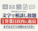 文字で相談し放題、1営業日以内に返信します 業務の仕組み化・AI導入・越境ECを、経営者の言葉で イメージ1