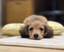 誰にも話せないあなたのお悩み、お聞きします ご希望でしたらタロット、オラクルカードにも聞いてみましょう イメージ1
