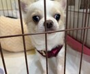 まずはお気軽に。悩みの解決の為にお話聞きます どんなジャンルでもOKです。短時間でも対応致します。 イメージ1