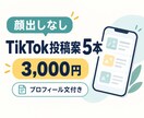 顔出しなしTikTok投稿案を5本作成します プロフィール文から最初の投稿までまとめて整えます イメージ1