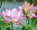チャットで相談❤️どんなお悩みでもお聞きします ♡最大3日間トークルームで♡じっくり長文3往復♡ イメージ5