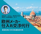欧州メーカーとの正規仕入れ交渉まで英語で代行します オランダ在住者が取引条件を直接確認 イメージ1
