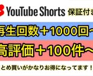 YouTube Shorts高品質プラン公開します 【チケット制】再生回数,高評価 ＋100件〜【保証付き】 イメージ2