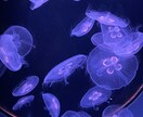 恋愛相談受けます 倦怠期、浮気、様々な恋愛相談。惚気も聞いちゃいます！！ イメージ1