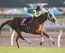 中央競馬厳選の1レースの予想を提供します 中央競馬での優良な予想情報が欲しい方 イメージ1
