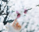 愚痴、弱音、相談など、聴いてほしい！を受け止めます ＊30代女性、福祉の相談員が、あなたの気持ちを受け止めます＊ イメージ3