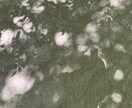 あなたの心の拠り所になります どんなお方、どんなお話でも大丈夫。わたしが優しく包み込みます イメージ2
