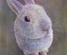 あなたの「うちの子」を油絵風のイラストにします 洋画を専門的に学んだイラストレーターです イメージ4