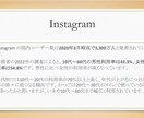 各種SNS集客や販売戦略コンサルます アカウント作成からマーケティング・販売戦略までサポート イメージ2