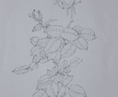 写真から手描き大切なペットや植物の画を制作します 自然で、あなたの心に寄り添う世界に一枚のアートをお届けします イメージ4