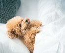 あなたが眠るまで☆寝落ち通話します 眠れない夜に…あなたが眠るまで一緒にいます☆ イメージ3
