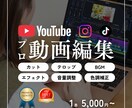 YouTube向け動画の編集をいたします テロップ・カット・BGM・簡易カラー補正まで対応！ イメージ1
