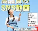 各種SNS向け動画を高品質で作成します スマホから有名インフルエンザ―のようなバズる動画へ イメージ1