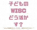 WISC結果から学習法を考えます 心理士経験を生かし、お子様の生きやすさと学びをサポートします イメージ1