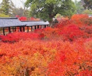 観光客の知らない京都の穴場旅行プランを作成します 最適な京都旅行プランを作成。日本語・英語対応可能です。 イメージ4