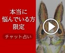 恋愛、仕事、お悩み何でも◎ タロット鑑定します ★  初心者様歓迎♪５０代シングルマザーが占います イメージ1