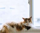 ご家族やご友人同士の自然な一瞬を写真に残します 【モニター価格】あなたらしい自然な雰囲気で撮影いたします。 イメージ2