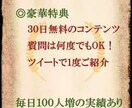 増やすだけじゃダメ！Twitter集客方法教えます Twitterガチりたい！超初心者ＯＫ！豪華特典あり！ イメージ3
