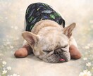 写真から可愛いペット似顔絵を作成します 誕生日や記念日のプレゼントにもおすすめです イメージ3