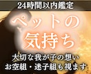 ペットの気持ちをアニマルコミュニケーションで視ます お空組・迷子組歓迎 ペットの気持ちとあなたへのメッセージ イメージ1